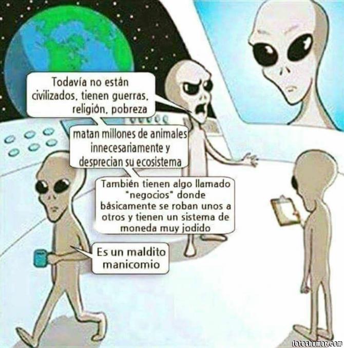 Es un maldito manicomio... Jesús ven Ya!.jpg