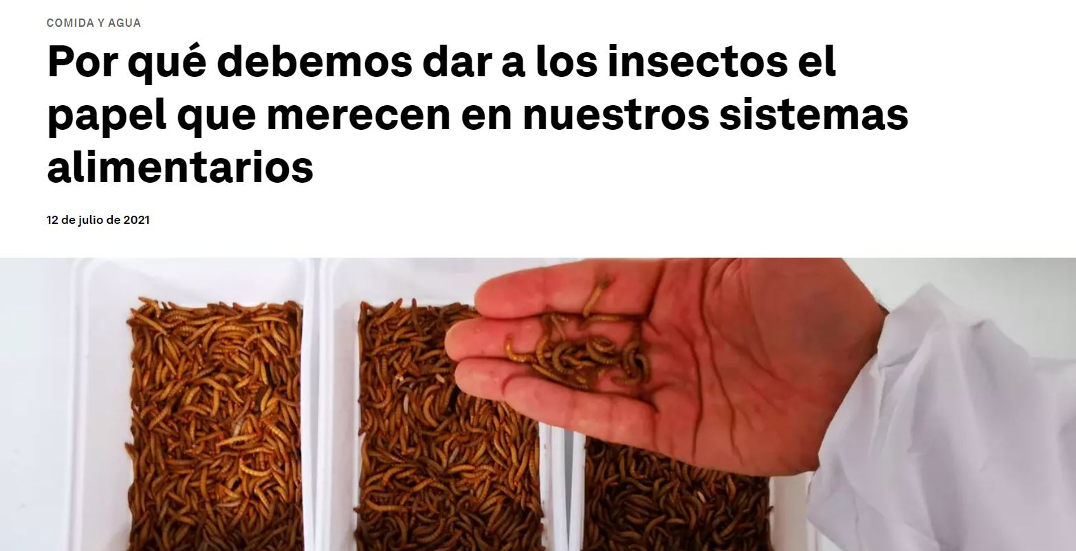 Pa mí el jamón pa tí los bichos comunistas hdp.JPG