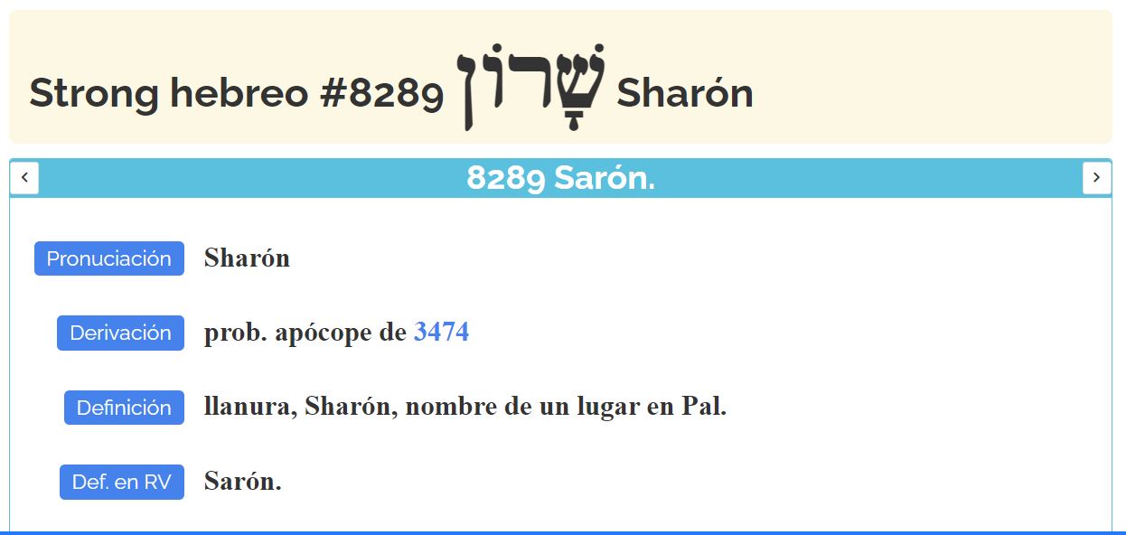 rosa de Sharon2.JPG