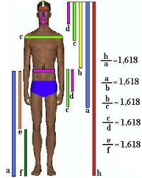 phi 2.jpg