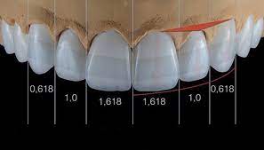 dientes phi.jpg