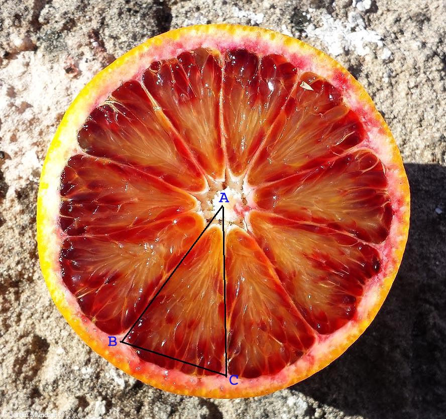 naranja y Universo.jpg