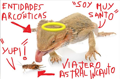 bishá de lobito.jpg